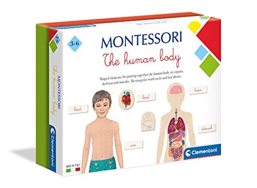 Clementoni- Montessori Jouet d'apprentissage du Corps Humain pour Enfant à partir de 3 Ans, 61504