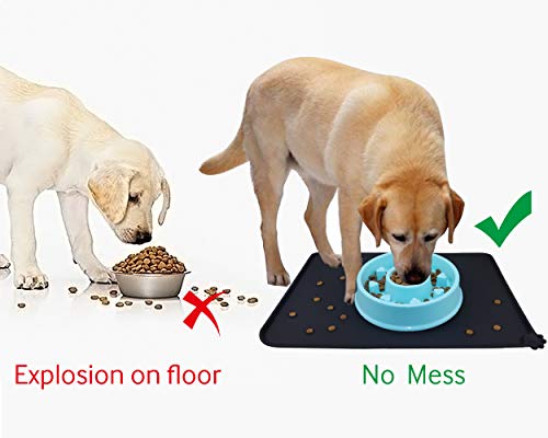 https://m.media-amazon.com/images/I/41Ee7bdg35L._SL500_.jpg