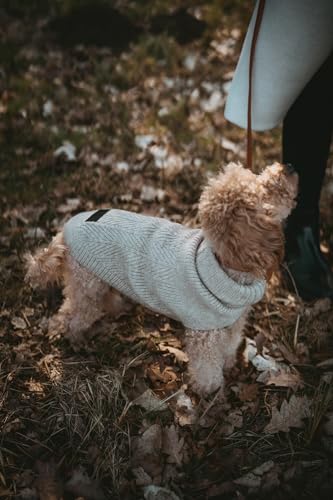 Hunter Hundepullover GENF, Farbe: beige, Strickpullover für kalte Tage, weich, anschmiegsam, recyceltes Polyester, waschbar, umgschlagbarer Halskragen, hohe Elastizität, Größe: 25
