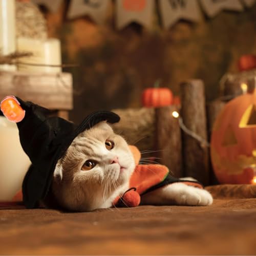 Adereços para fantasia de gato de Halloween - Traje de fantasia de animal de estimação de Halloween
