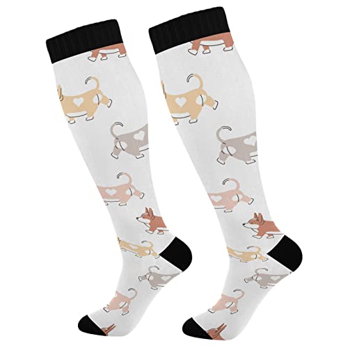 Wusikd Cartoon Corgi Dog Compression Socks for Women and Men Circulation Cute Long Socks for Athletic Running 2