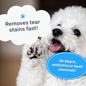 Petpost | Tear Stain Remover Wipes - Presoaked Cotton Pads - Best Natural Eye Crust Treatment for White Fur - Maltese Angels Approved - Chemical and Bleach Free 100 ct. Petpost | Tear Stain Remover Wipes – Presoaked Cotton Pads – Best Natural Eye Crust Treatment for White Fur – Maltese Angels Approved – Chemical and Bleach Free 100 ct.
