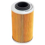 Road Passion 420956745 Oil Filter Compatible with Can-Am 998 GS Spyder - SM5 2009/ RS SE5 SM 5 2009