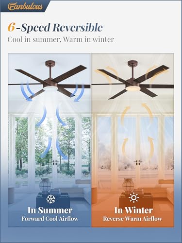 Image of Fanbulous 60 inch Outdoor Ceiling Fans with Lights, Dimmable 3CCT, Brown