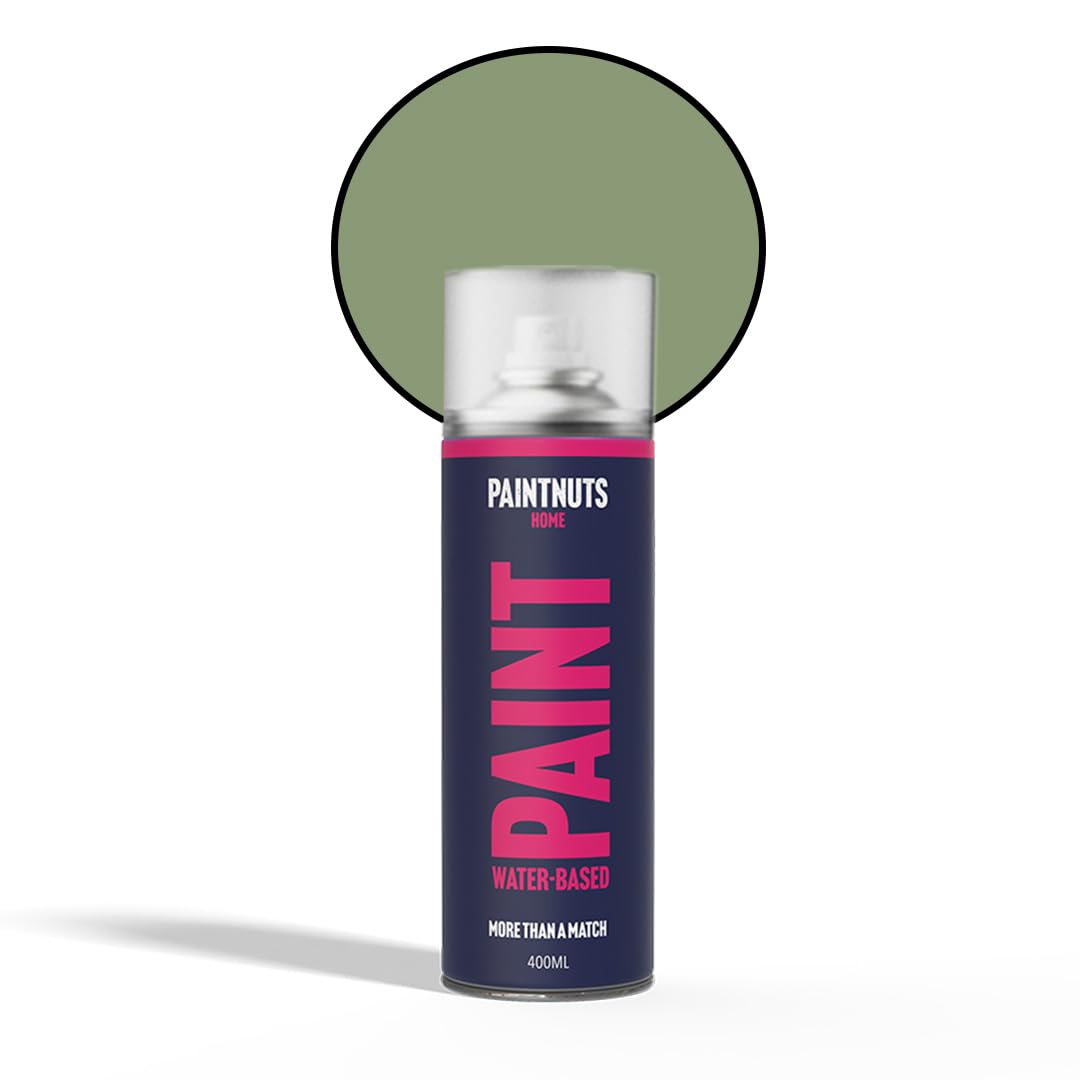 Paintnuts Pale Green Water Based Multi-Surface Paint - Ral-6021 - Satin 400Ml Spray Can