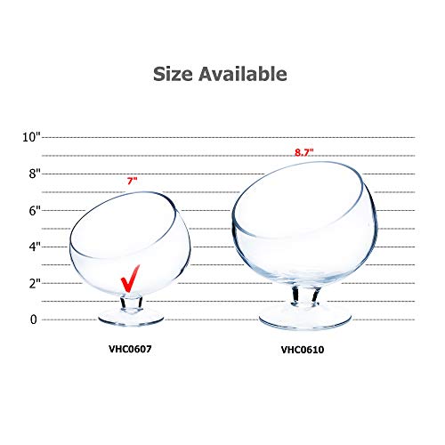 image for WGVI WGV Slant Cut Bowl Glass Vase with Stand, Width 6.5