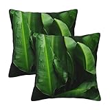 Largement utilisé : les housses de coussin imprimées de feuilles de bananier fraîches peuvent être largement utilisées pour un canapé, un lit, une chaise, un banc, un siège de voiture, un siège de fenêtre, une bonne décoration pour votre maison