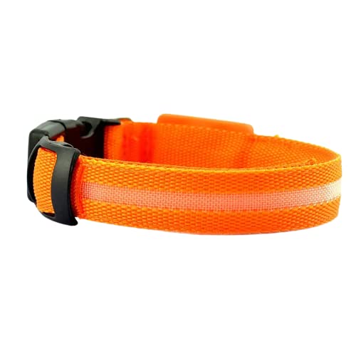 BarknBow Store Glowing LED Dog Collar, USB Rechargeable, Easy to Release Buckle, Night Safety with Bright Flashing, Easily Adjustable, Strong and Durable, Orange (Small) (B0C5MD6BSV) Amazon Price History, Amazon Price Tracker
