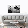 Black And White Couple Horses Canvas Poster Wall Art Decor Print Picture Paintings for Living Room Bedroom Decoration 12" L X 18" W #3