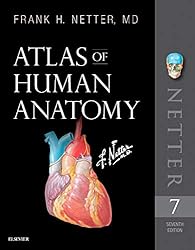 Amazon | Atlas of Human Anatomy E-Book: Digital eBook