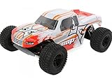  ECX AMP MT 1:10 2WD Elektro Monster Truck schwarz / grün RTR