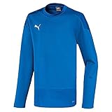 PUMA Jungen, teamGOAL 23 Training Sweat Jr T-shirt, Electric Blue Lemonade-Team Power Blue, 116
