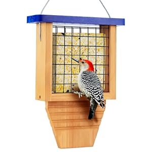Wooden Suet Bird Feeder for Outside Hanging, Woodpecker Suet Feeder with Tail Prop, Hanging Bird Feeder for Wild Birds, 1 Pack, Blue