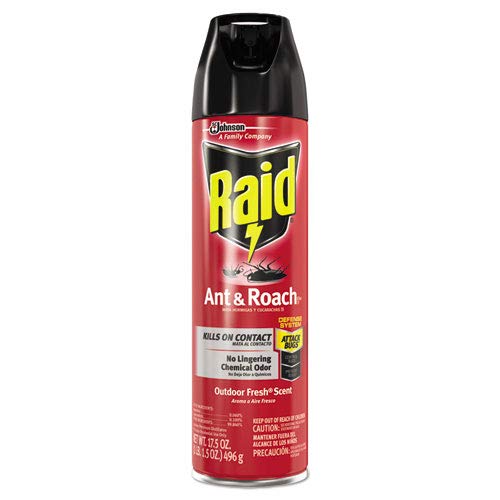 Miniatura 2 de Raid Ant & Roach Spray Outdoor Fresh Scent 17.50 oz (paquete de 12) Raid