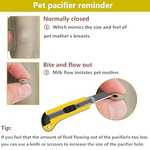 Puppybottlesfornursingpuppymilkfeedersformultiplepuppiesnipplepuppyfeedermilkbowl4nipplessiliconepuppynursingstationfeederbowlforkittenspuppiescapacity240mlgrey Urban Country Home Decor Puppy bottles for nursingpuppy milk feeders for multiple puppies nipplepuppy feeder milk bowl4 nipples silicone puppy nursing stationfeeder bowl for kittens puppiescapacity 240mlgrey urban country home decor