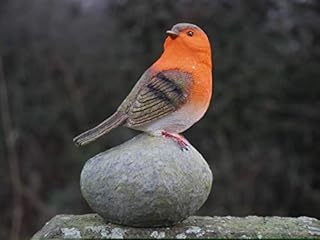 HomeZone® Robin Redbreast Perched On Stones Resin Bird Set Highly Detailed Garden Ornaments Christmas Decoration Indoor Or Outdoor Use.
