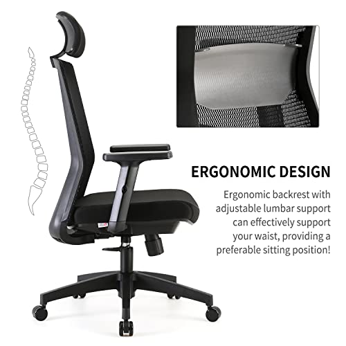 Image of SIHOO Ergonomic Office Chair, Mesh Swivel Computer Chair with Adjustable Lumbar Support and Armrests, Breathable Mesh Back(Black)