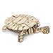 Rolife Build Your Own 3D Wooden Assembly Puzzle Wood Craft Kit Turtle Model, Gifts for Kids and Adults