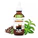 Liquid Stevia-Stevia Select Root Beer 2 oz Stevia Drops From The Sweet Leaf-Sugar Free Stevia Flavor - Water Enhancer - Water Flavor- Amazing Tasting Root Beer