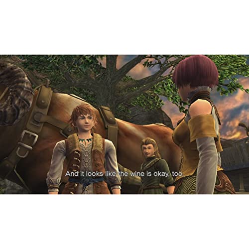 Knight Chronicles Ps3 - vue 8