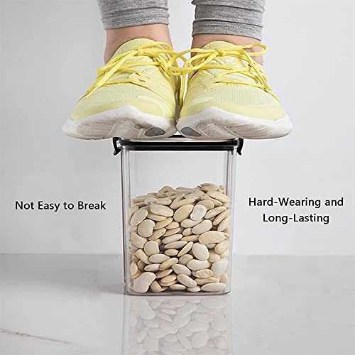 2 Pezzi Contenitori Ermetici per Cereali, Scatole