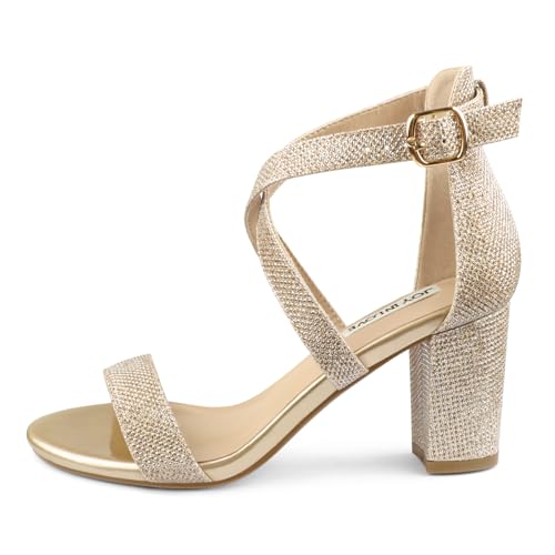 Image of JOY IN LOVE Women's Chunky Block Heels 3 Inch Ankle Strap Low Heel Sandals