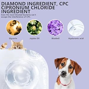 Pet-Bathing-Wipes-for-Dogs-Cats-Cleaning-Deodorizing-Grooming-Gloves-Nourish-Fur-Glove-Wipes-for-Daily-Care-and-Traveling-Rinse-Free7-PCS-Bluebell-Gloves - Cucciolini Doodles Pet-Bathing-Wipes-for-Dogs-Cats-Cleaning-Deodorizing-Grooming-Gloves-Nourish-Fur-Glove-Wipes-for-Daily-Care-and-Traveling-Rinse-Free7-PCS-Bluebell-Gloves