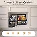 Pazcii Blind Corner Pull Out Organizer, 14 Inch 2-Tier Swing Tray with 4 Detachable Shelves, Soft Close Universal Left/Right Mount for Kitchen Cabinet Storage