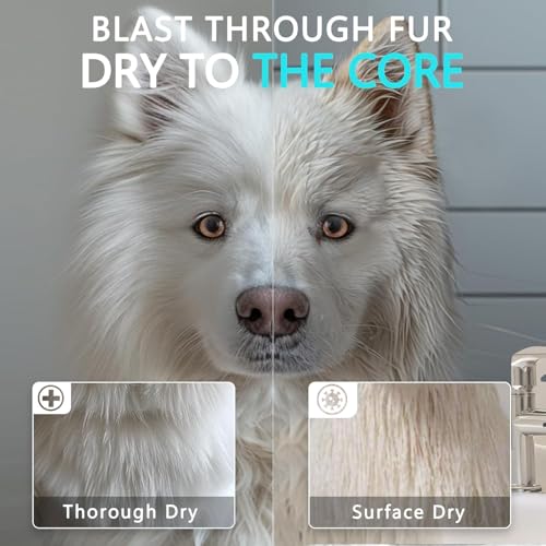 image for Blanlody High Velocity Dog Hair Dryer 5.2HP/ 3800W Professional Dogs B