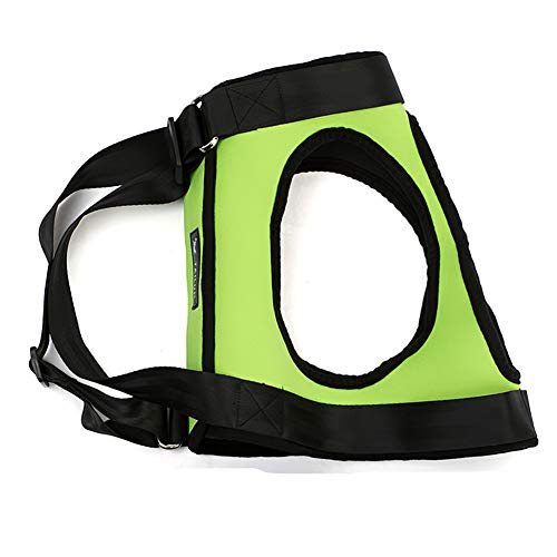 Xihan123 Pettorina Cane Imbracatura Cane Zampe