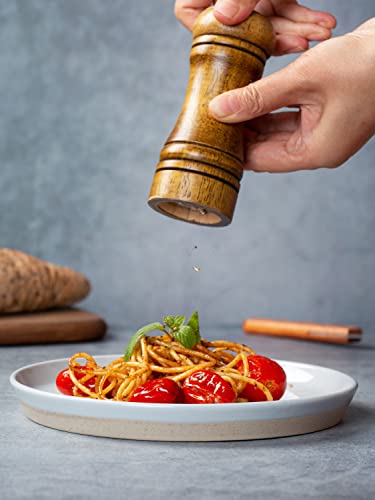 Famiware Saturn 6 Pieces Dinner Plates, 10.5 Inch Plate Set, Scratch Resistant, Stoneware Dinnerware, Kitchen Modern Rustic Serving Dishes, Light Gray #TOP2