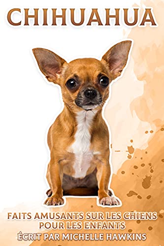 Chihuahua: Faits amusants sur les chiens pour les enfants #13