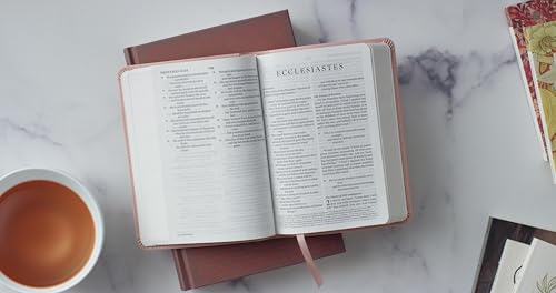 ESV Large Print Compact Bible, Red Letter (TruTone, Pink): Holy Bible, English Standard Version - image 3