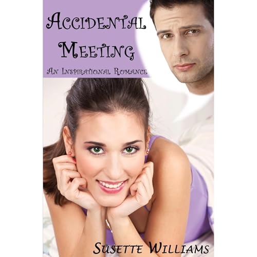 Accidental Meeting by Susette Williams episode artwork