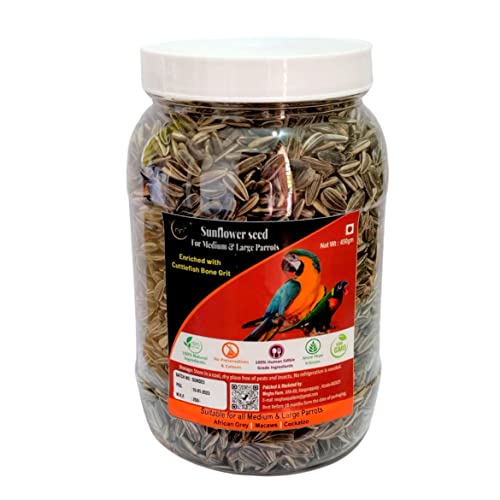 CybeXis Premium Striped Sunflower Seed-[1Kg]