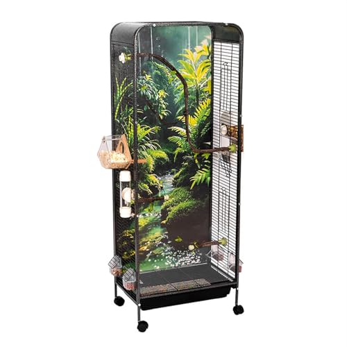 Lrlbg^  rbOo[hB Tufduzo ANŊώ@₷ ȒP ogC ti aA~܂ t gݗĎ (B)