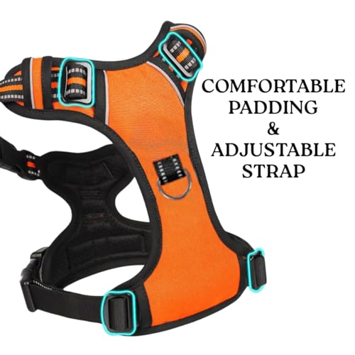 Image of No Pull Dog Chest Belt Harness, Comfortable & Adjustable Size for 5-13 Kg Pet (Orange, Small)