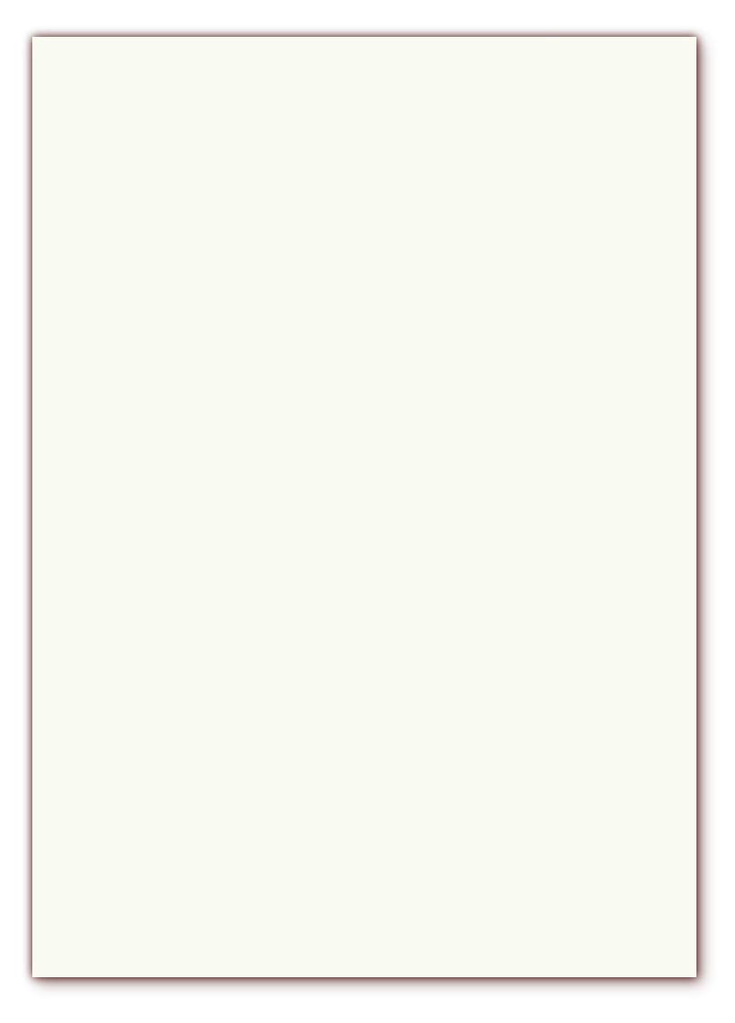 100 x GOHRSMÜHLE Premium Briefpapier im DIN A3 Format (297 x 420 mm) Grammatur 110g/m² mit echtem Wasserzeichen, Farbe matt weiß leicht cremefarben