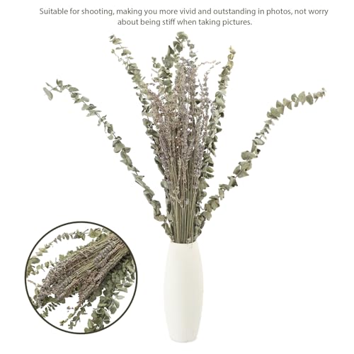 Ramo Seco de Lavanda y Hoja de Eucalipto Natural 12 Tallos miniatura 7