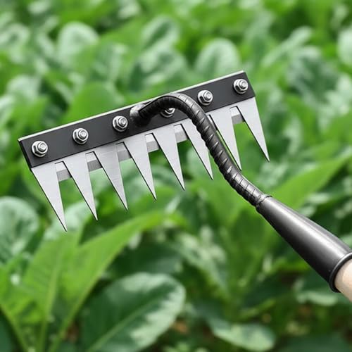 Kraft Seeds Garden Rake Head (8 Teeth) Heavy Duty Farming Tools f...
