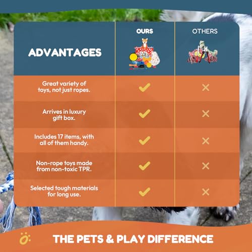 Pets & Play Welpen-Starter-Set, alles in einem, hochwertige Gesundheits-, Spiel-, Fellpflege- und Reiseartikel für neue Welpenbesitzer, 17 wichtige Haustierpakete, perfektes Startergeschenk für neue