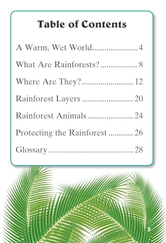 Step into the Rainforest