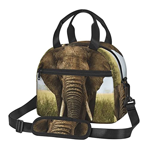 Drake DW3740-038-3 Women's MST Windproof Bonded Fleece Pant Max-7 Large