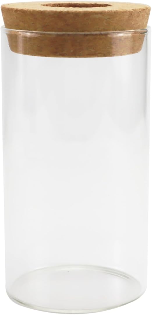 Clear Glass Flower Vase, Bud Vases with Wooden Cork, Home