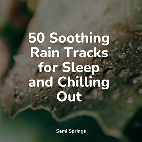 Play 50 Soothing Rain Tracks for Sleep and Chilling Out by Ambient