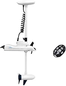 White Haswing 12V 55LBS 48