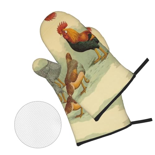 Maniques poules italiennes pour réussir vos pâtisseries et grillades - 3