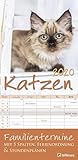 Katzen Familientermine 2020