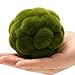 LIDSCURA 6 PCS Green Moss Ball Decorations, Simulated Moss Balls, Artificial Plant Decorations, Suitable for Garden Wedding Party Decorations