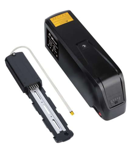 LFPNERYE 48V 10AH 15AH 20AH B attery,Built-in 30A BMS,720W Power